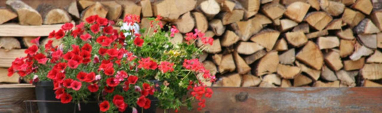 Le Barlet23 Pers Hameau Des Chazals Nevache Hautes Alpes エクステリア 写真